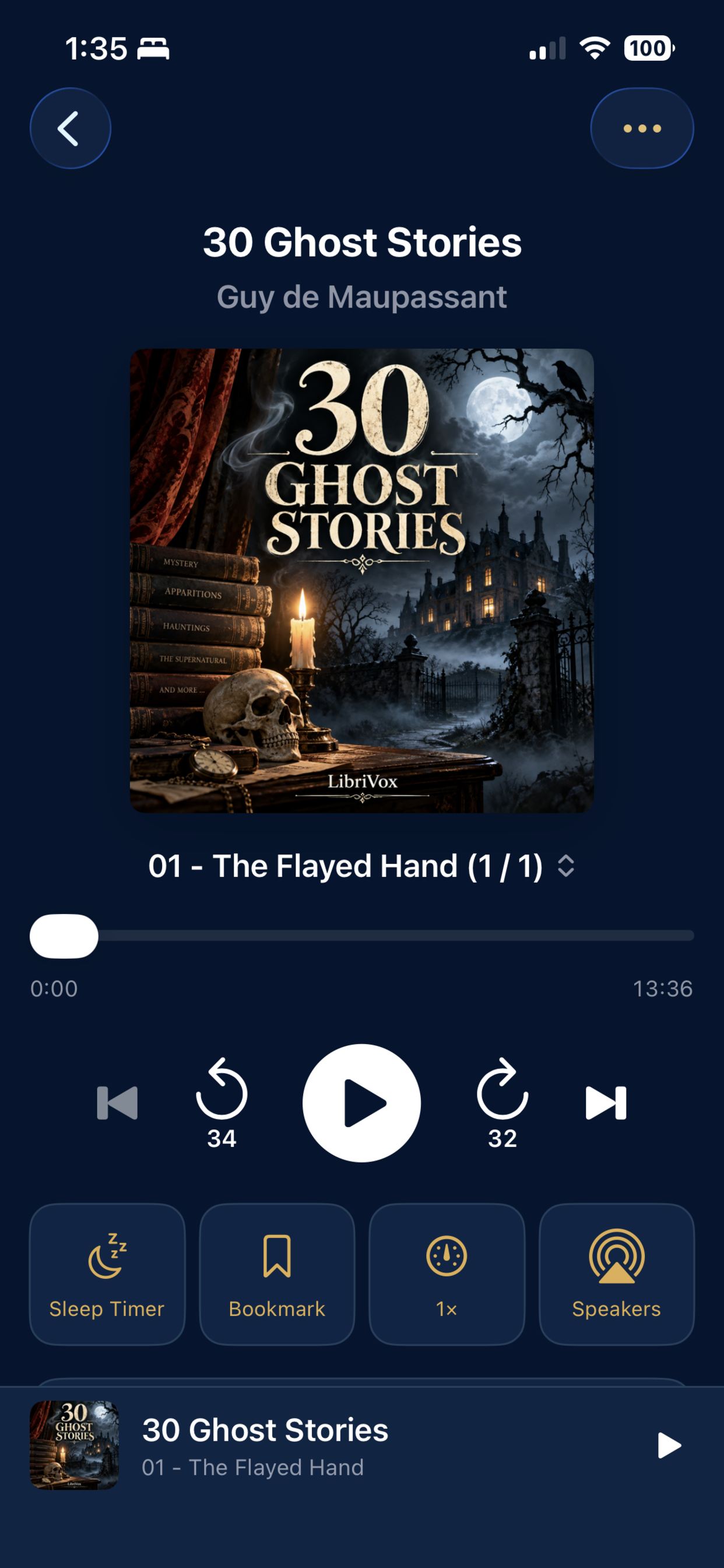 Playback screen on iPhone